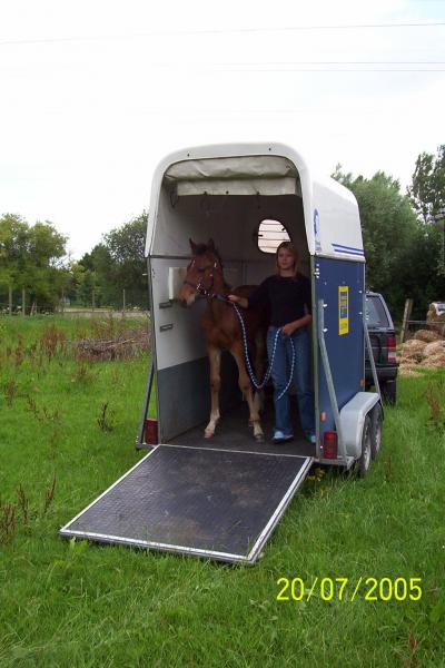 L'arrivée